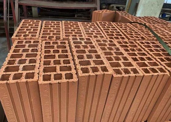 Đường dây sản xuất tự động cho việc làm khối rỗng đất sét với máy sấy đường hầm và công suất lớn 800 tấn / ngày